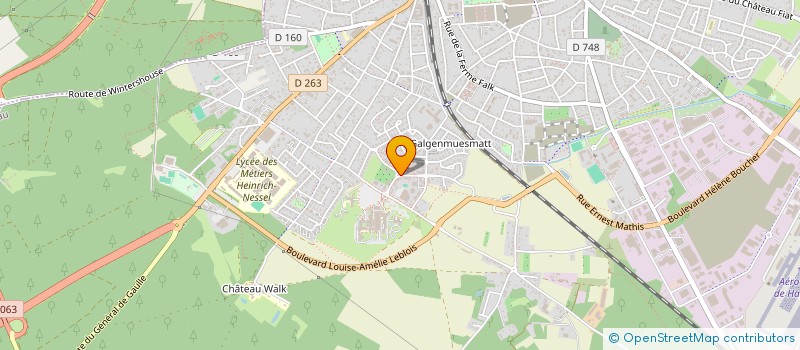 localisation de l'entreprise INTER - SERVICE à HAGUENAU