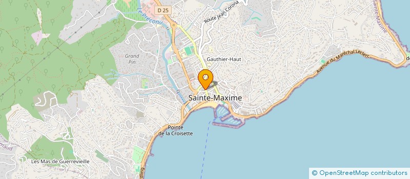 localisation de l'entreprise INTERET INTERNAT FOOTBALL PROFESSIONNEL à SAINTE-MAXIME
