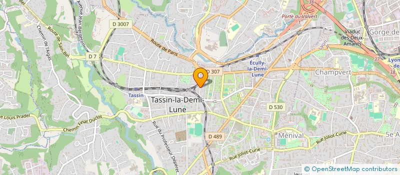 localisation de l'entreprise INTERNATIONAL BEVERAGE SOLUTIONS  TASSIN-LA-DEMI-LUNE