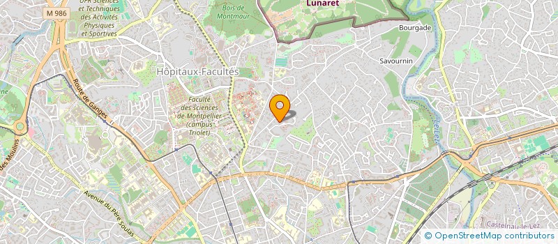 localisation de l'entreprise INTERNATIONAL CONFERENCE ON THE PHYSICS OF SEMICONDUCTORS ICPS2018 à MONTPELLIER
