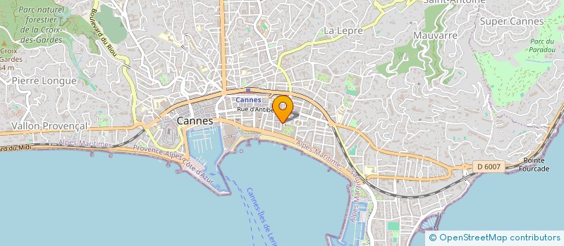 localisation de l'entreprise INTERNATIONAL PROPERTY CONSULTANT à CANNES