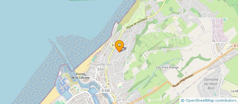 localisation de l'entreprise INTERNATIONAL SERVICES BOIS à TROUVILLE-SUR-MER