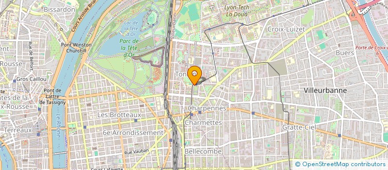 localisation de l'entreprise INTERNATIONAL WORLDWIDE BUSINESS  VILLEURBANNE