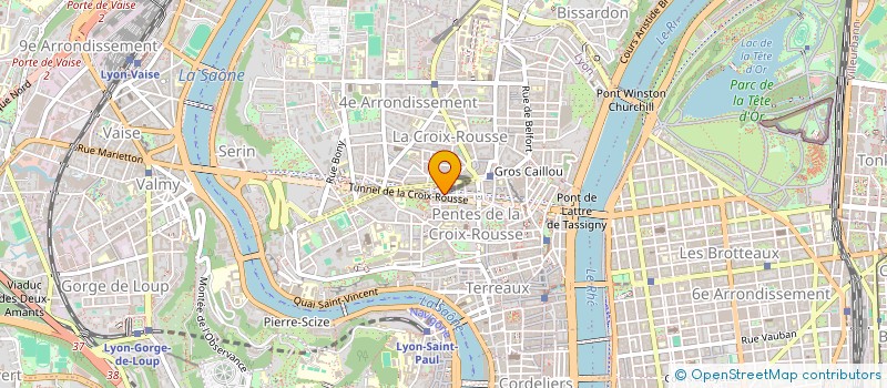 localisation de l'entreprise INTERVENTION TRES PRECOCE EN AUTISME à LYON