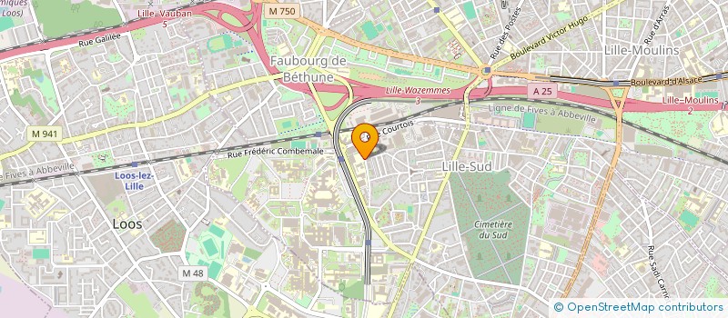 localisation de l'entreprise INTESTINFO  LILLE