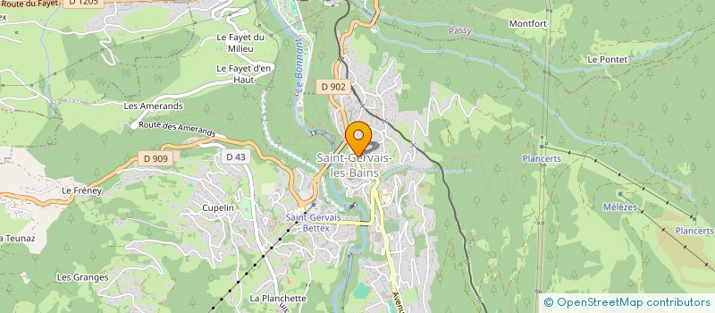 localisation de l'entreprise INTO THE BEARD à SAINT-GERVAIS-LES-BAINS