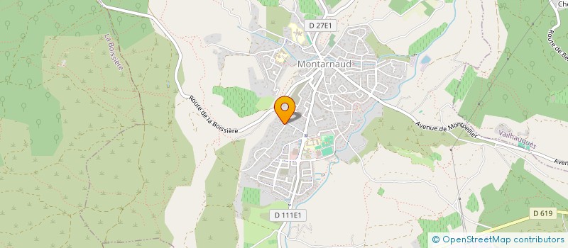 localisation de l'entreprise INYACO  MONTARNAUD