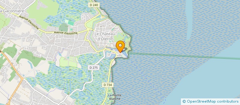 localisation de l'entreprise ION  LE CHATEAU-D'OLERON