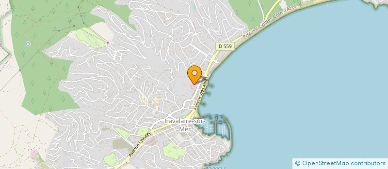 localisation de l'entreprise ION SCIENCE FRANCE à CAVALAIRE-SUR-MER