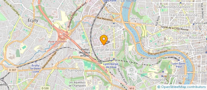 localisation de l'entreprise IRIDIUM INFORMATIQUE à LYON