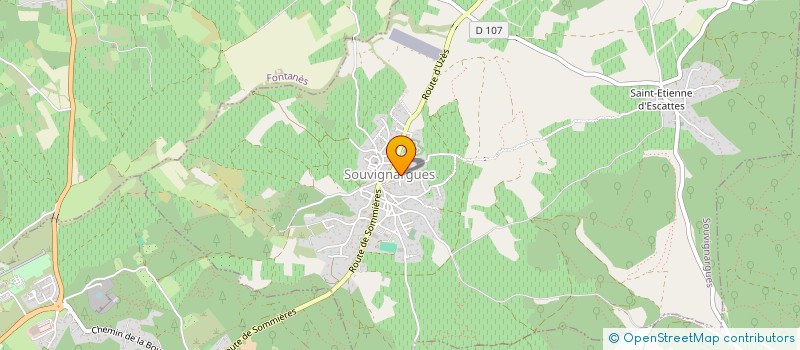 localisation de l'entreprise IRIS  SOUVIGNARGUES