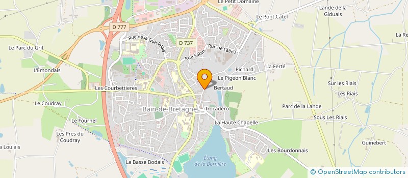 localisation de l'entreprise IRIS ASSOCIATION  BAIN-DE-BRETAGNE