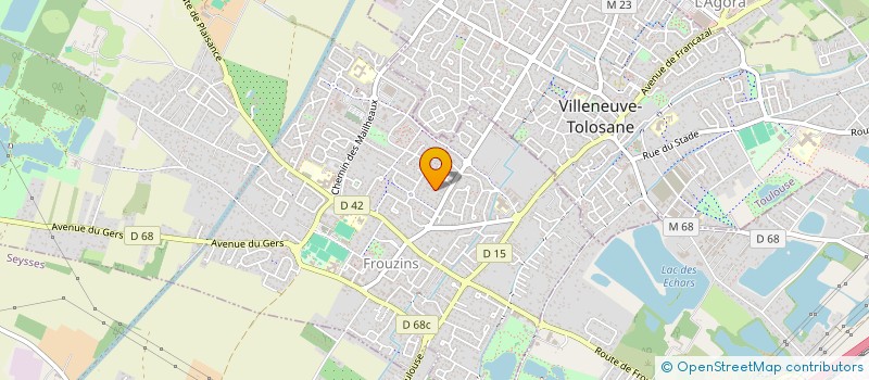 localisation de l'entreprise IRIS GLS SAS  FROUZINS