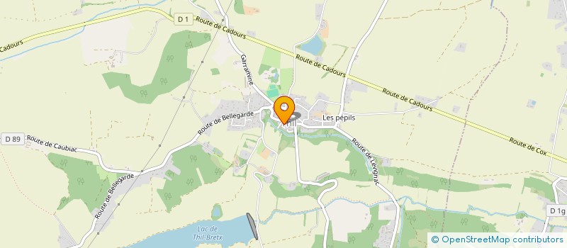 localisation de l'entreprise IRIS GUINGUETTE  THIL