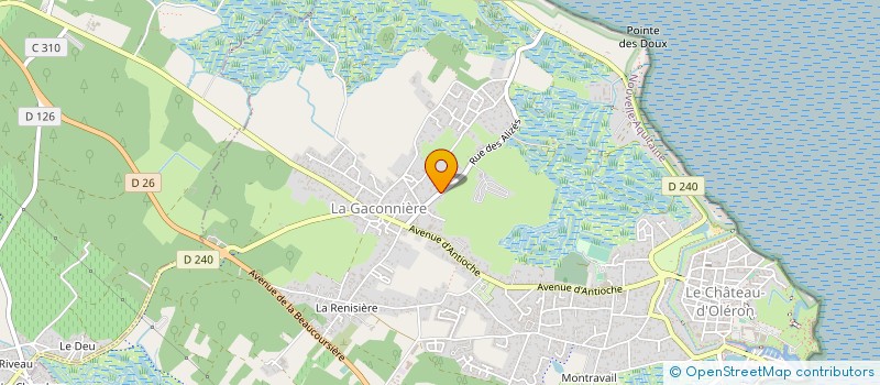 localisation de l'entreprise IRIS IMMOBILIER  LE CHATEAU-D'OLERON