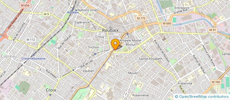localisation de l'entreprise IRIS INTERNATIONAL à ROUBAIX