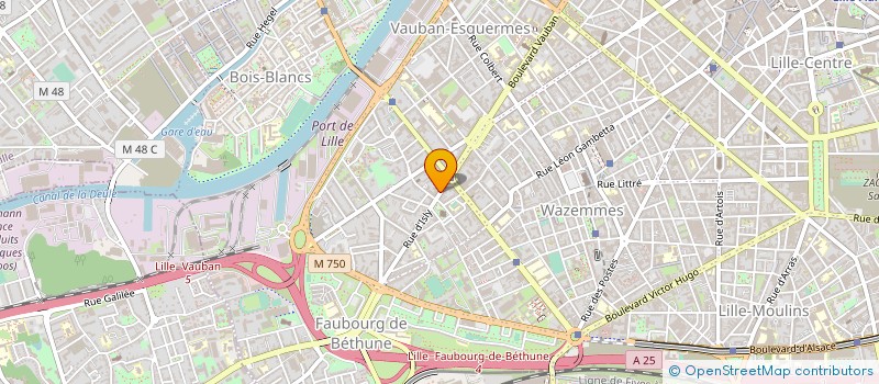 localisation de l'entreprise IRMES INTERNATIONAL à LILLE