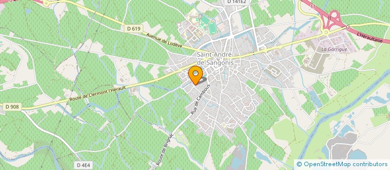 localisation de l'entreprise IRON SELF DEFENSE CLUB  SAINT-ANDRE-DE-SANGONIS