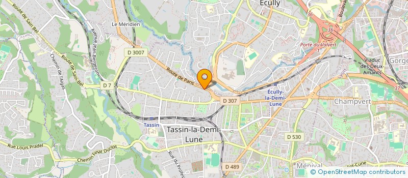 localisation de l'entreprise IRYS  TASSIN-LA-DEMI-LUNE