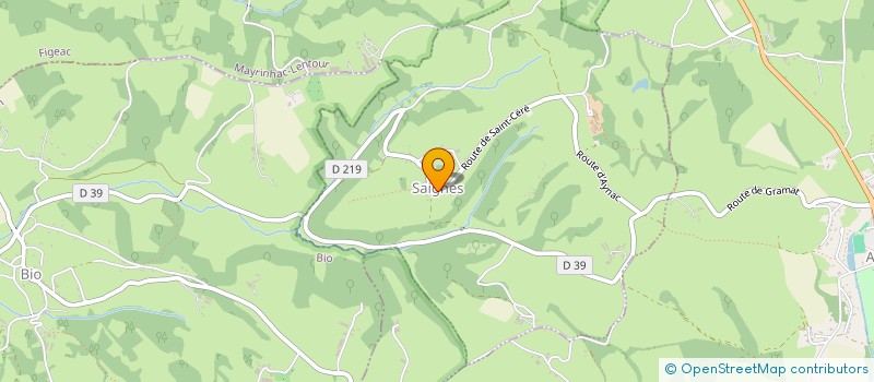 localisation de l'entreprise ISIDON  SAIGNES