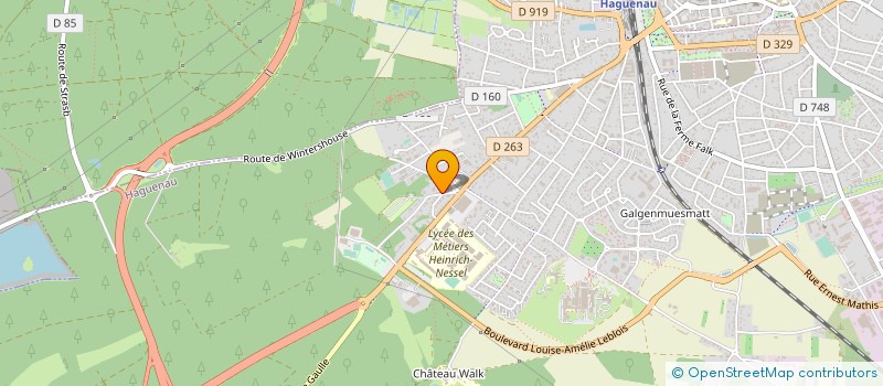 localisation de l'entreprise ISO-PRO  HAGUENAU