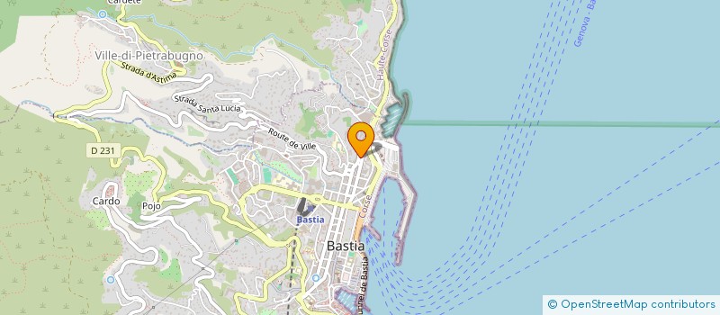 localisation de l'entreprise ISOCAEDRE GESTION CONSEIL à BASTIA