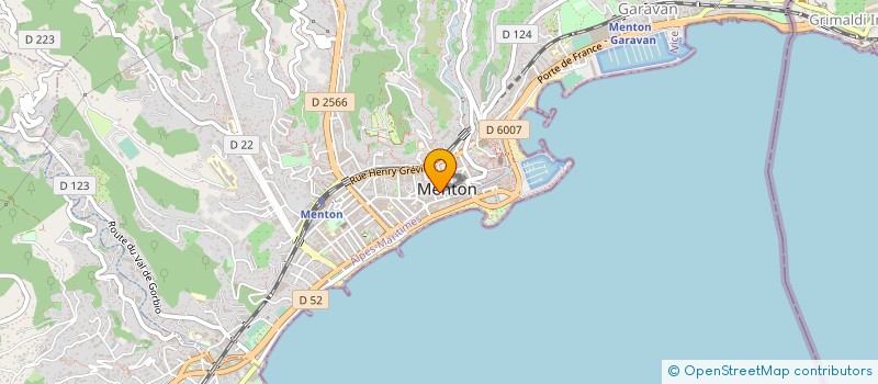 localisation de l'entreprise IT SERVICES à MENTON