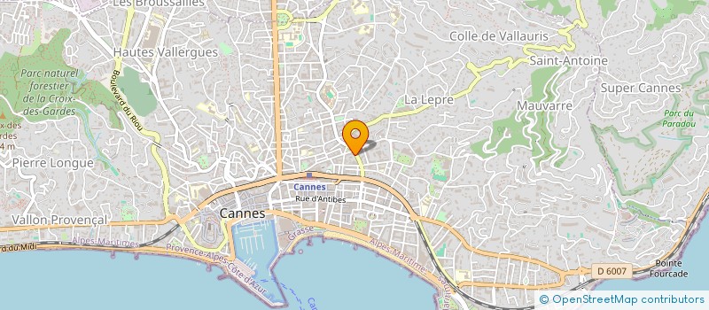 localisation de l'entreprise ITERICS  CANNES