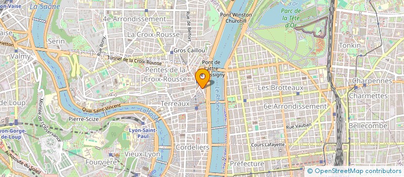 localisation de l'entreprise ITREMA TEMPORAIRE SA à LYON