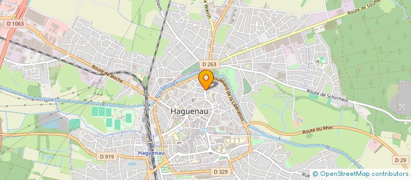 localisation de l'entreprise ITS INTERIM SYSTEM à HAGUENAU