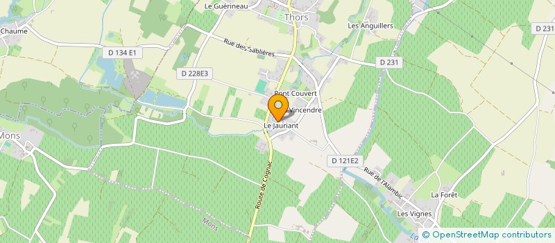 localisation de l'entreprise IUS AUXILIUM  THORS