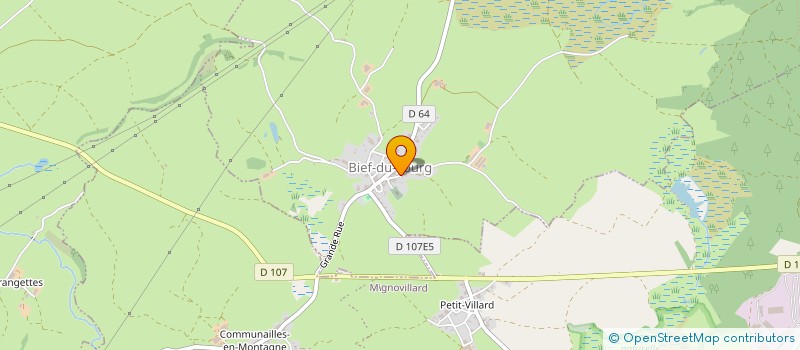 localisation de l'entreprise IVDI  BIEF-DU-FOURG