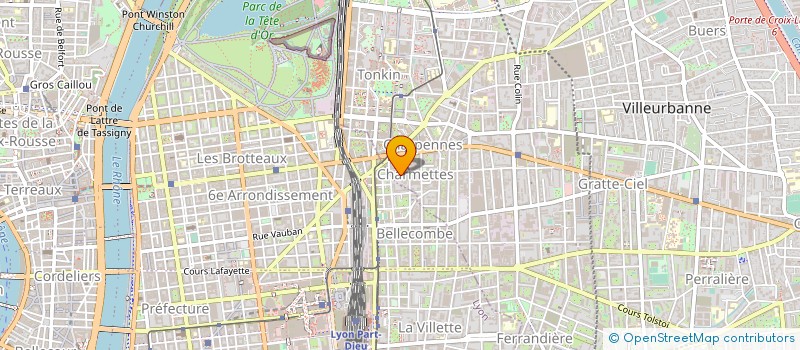 localisation de l'entreprise IVY SERVICE à LYON
