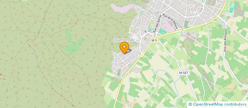 localisation de l'entreprise IWT - INTERNATIONAL WOOD TRADING  COURNONSEC