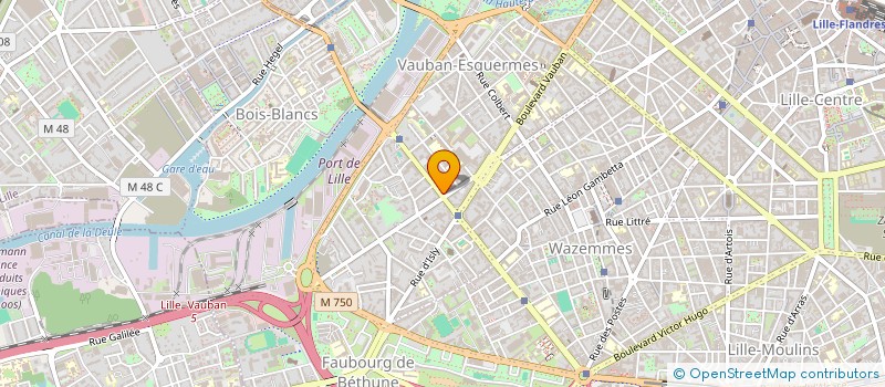 localisation de l'entreprise IYAN à LILLE