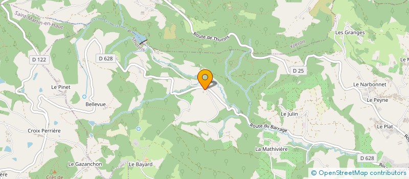 localisation de l'entreprise IZAUL  THURINS