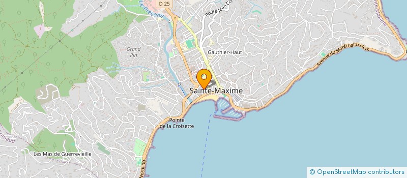 localisation de l'entreprise IZBA à SAINTE-MAXIME