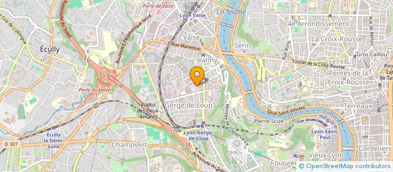 localisation de l'entreprise IZO  LYON