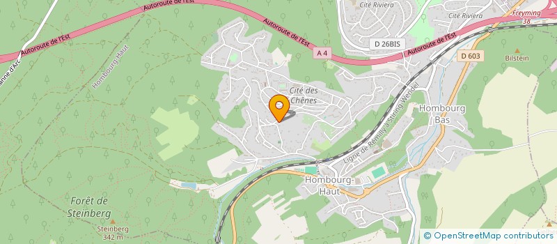 localisation de l'entreprise J.E. PIZZA  HOMBOURG-HAUT