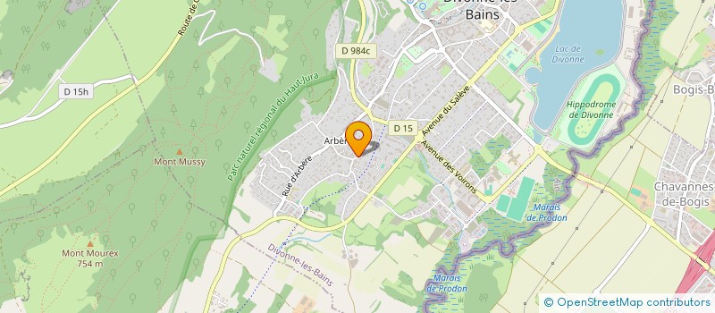 localisation de l'entreprise J-L65  DIVONNE-LES-BAINS