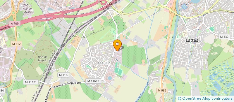 localisation de l'entreprise JACK LIBELLULE à LATTES