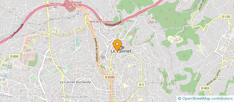 localisation de l'entreprise JANINE CARRON 1 à LE CANNET