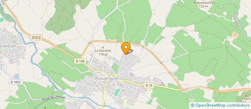 localisation de l'entreprise JANIS  PUISSERGUIER