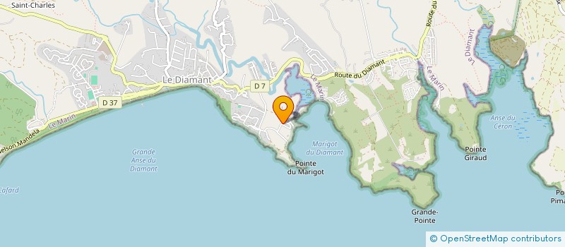 localisation de l'entreprise JANUS CONSULTANT  LE DIAMANT