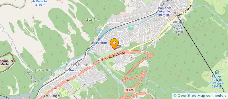 localisation de l'entreprise JARDIN DU BREVENT  CHAMONIX-MONT-BLANC