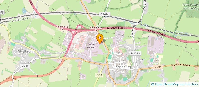 localisation de l'entreprise JARDINS ESPACES VERTS SERVICES  PHALSBOURG