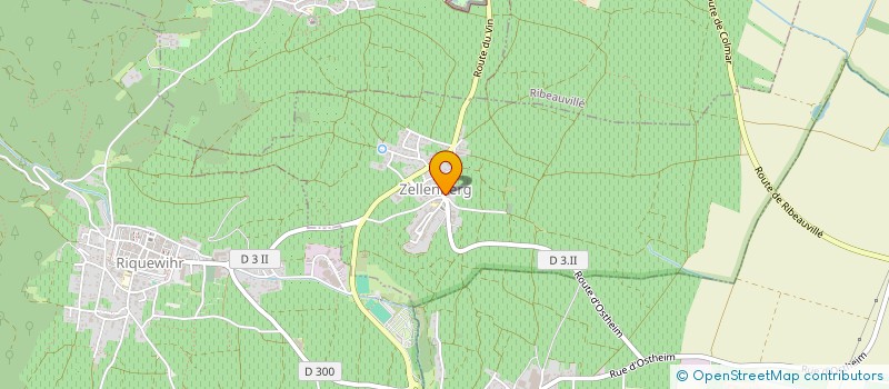 localisation de l'entreprise JAUNE TRIANGLE  ZELLENBERG