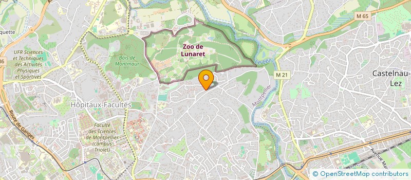 localisation de l'entreprise JAVA à MONTPELLIER