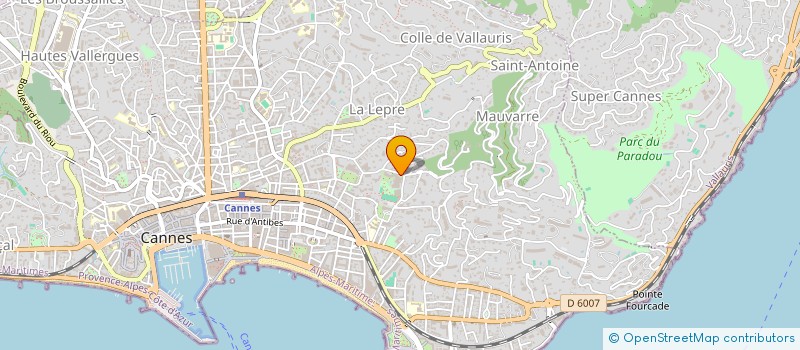 localisation de l'entreprise JDELORME IMMOBILIER  CANNES