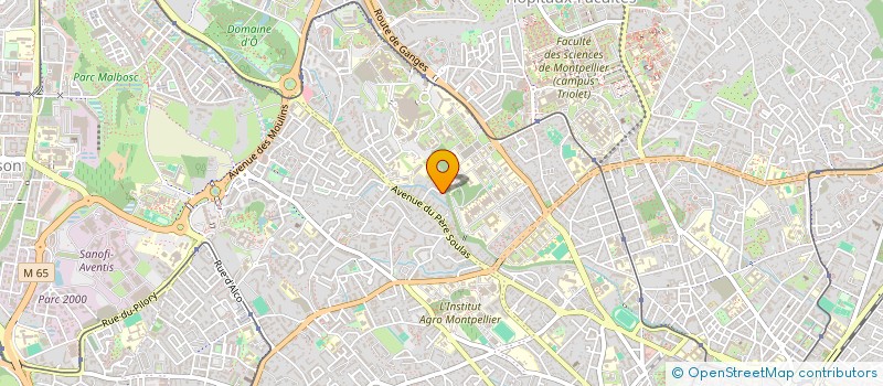 localisation de l'entreprise JDS FERRO CONSEIL à MONTPELLIER